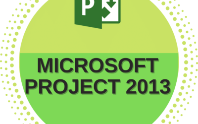 Microsoft Project 2013 – Beginner to Advance Level